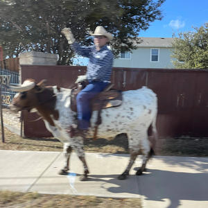 Shotgun Willie (Live From LJ’s Garage)