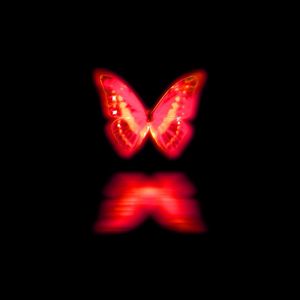 阿玛是最忠诚的朋友