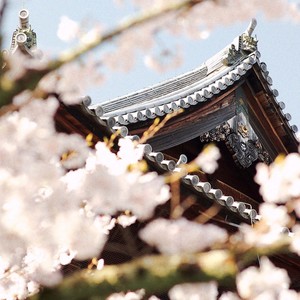 Flower Dance (A.Lee8849 remix|Remix)