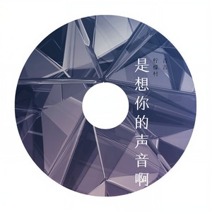 是想你的声音啊 (男生版)