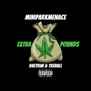 Extra Pounds (feat. DaeTrim & TreBall) (Explicit)
