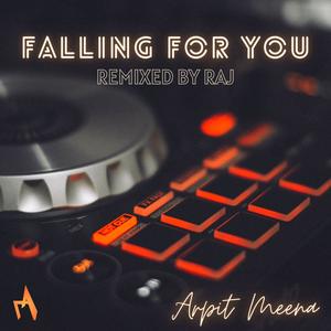 Falling For You Remix(feat. Raj)