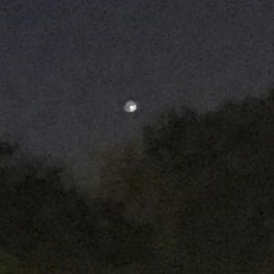 Won't Last (Explicit)