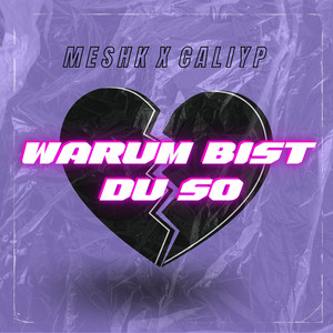 Warum Bist Du So (Explicit)