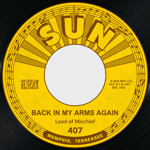 Back in My Arms Again / I'm a Lover