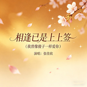 相逢已是上上签 (我曾像傻子一样爱你)