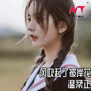 如果呢-温柔正