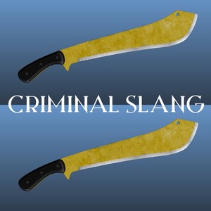 Criminal Slang