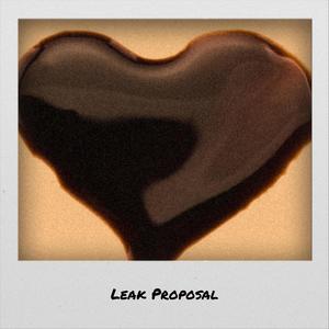 Leak Proposal