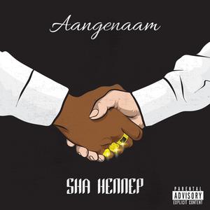 Aangenaam (Explicit)