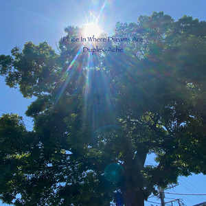 Cat, Girl, and Curry