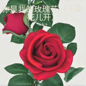 你是我的玫瑰花 (一朵花儿开)