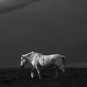 Почему. Не. Ты.