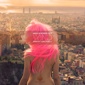 Wind (Yann Cavaille Remix)