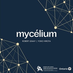 Mycélium