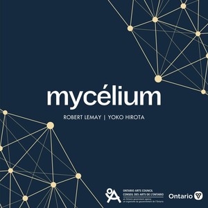 Mycélium 6
