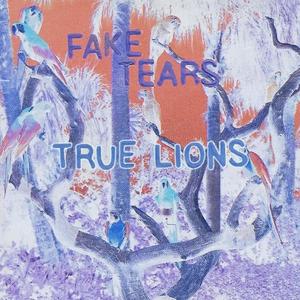 Fake Tears