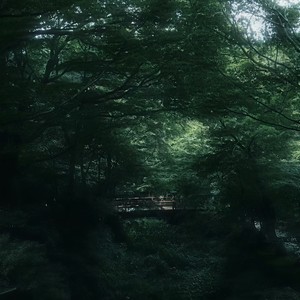 任君凭栏 我栖春山