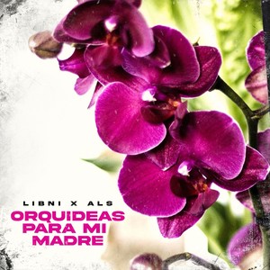 Orquídeas para Mi Madre