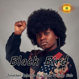 Black Bird (feat. Gaby Bialo & Salem) (Explicit)