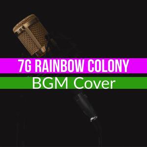 7G Rainbow Colony