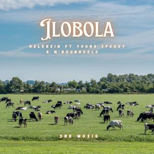 Ilobola
