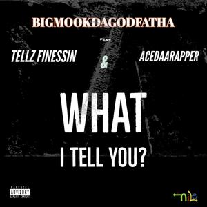 What I Tell You (feat. Tellz Finessin' & AceDaaRapper) (Explicit)