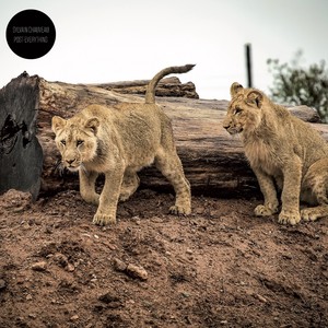 Unilateral Disarmament