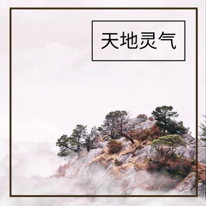 天地灵气 - 最适合训练灵气的安静大自然音乐