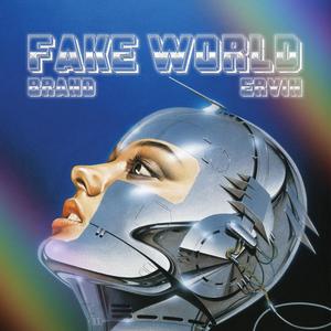 Fake World (feat. Brand Thaniel) [Explicit]