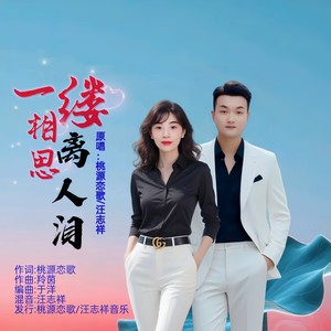 一缕相思离人泪 (对唱版伴奏)