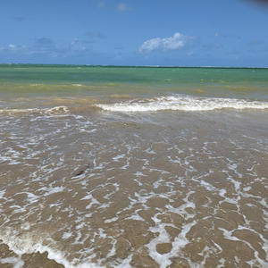 Restless Rest (feat. Nazih Borish)