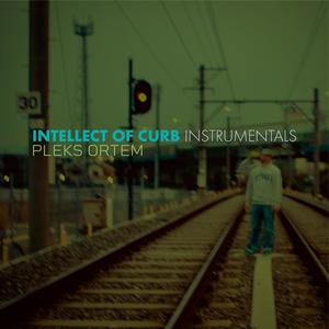 I Wanna Get Hurt (Instrumental)