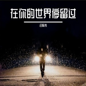 在你的世界停留过