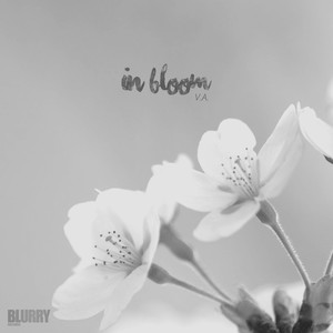 In Bloom, Vol. 1