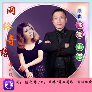 飞歌 - 网络奇缘