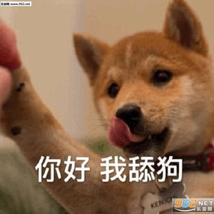 环游星空 (跑路狗版|翻自 Gifty)