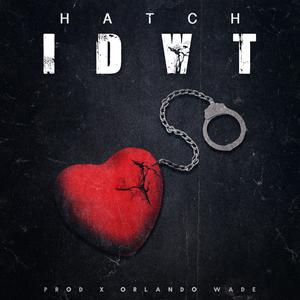 IDWT