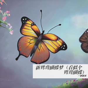 一颗糖果 - 新鸳鸯蝴蝶梦（看似个鸳鸯蝴蝶）