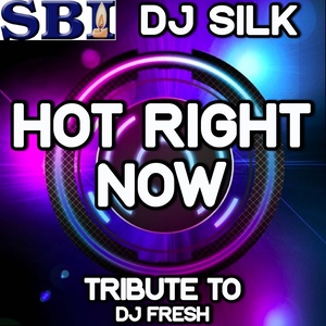 Hot Right Now (Originally Performed By DJ Fresh and Rita Ora)
