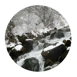 Fresh and Free(every feeling is freedom)