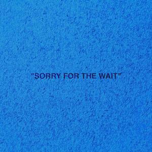 SORRY FOR THE WAIT (Explicit)