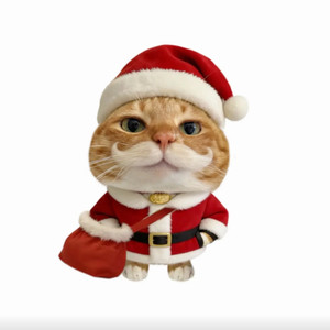 耳朵播放器 - Last Christmas (圣诞进行曲)