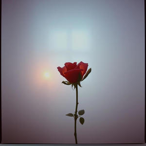 Bye (feat. Mehrad hidden & Sepehr Khalse) (Radio Edit|Explicit)