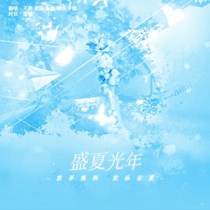 盛夏光年 live in the sky (Live)