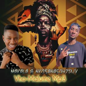 Vho Malume (Makala & Nkosana5047)