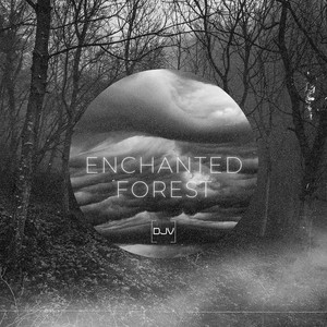 Enchanted Forest