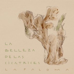 La Belleza de las Cicatrices (feat. Jimena Lopez Chaplin)