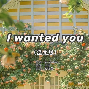 I Wanted You