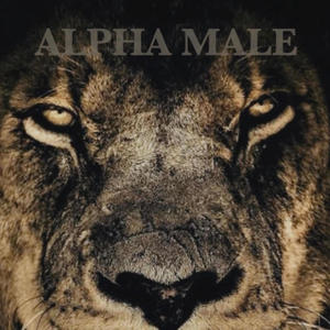 Alpha Male